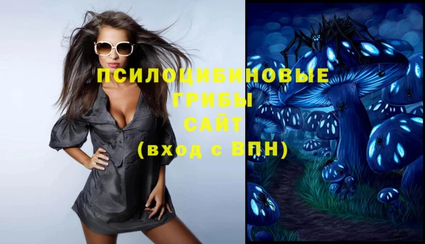 бутират Инта