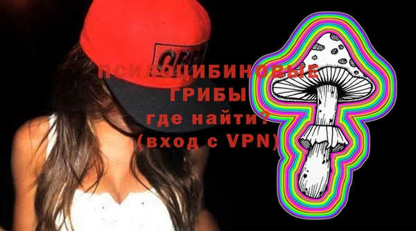 бутират Инта