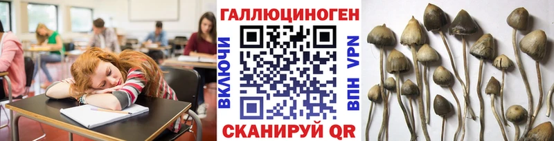 Псилоцибиновые грибы мухоморы  Купить  Красный Холм 